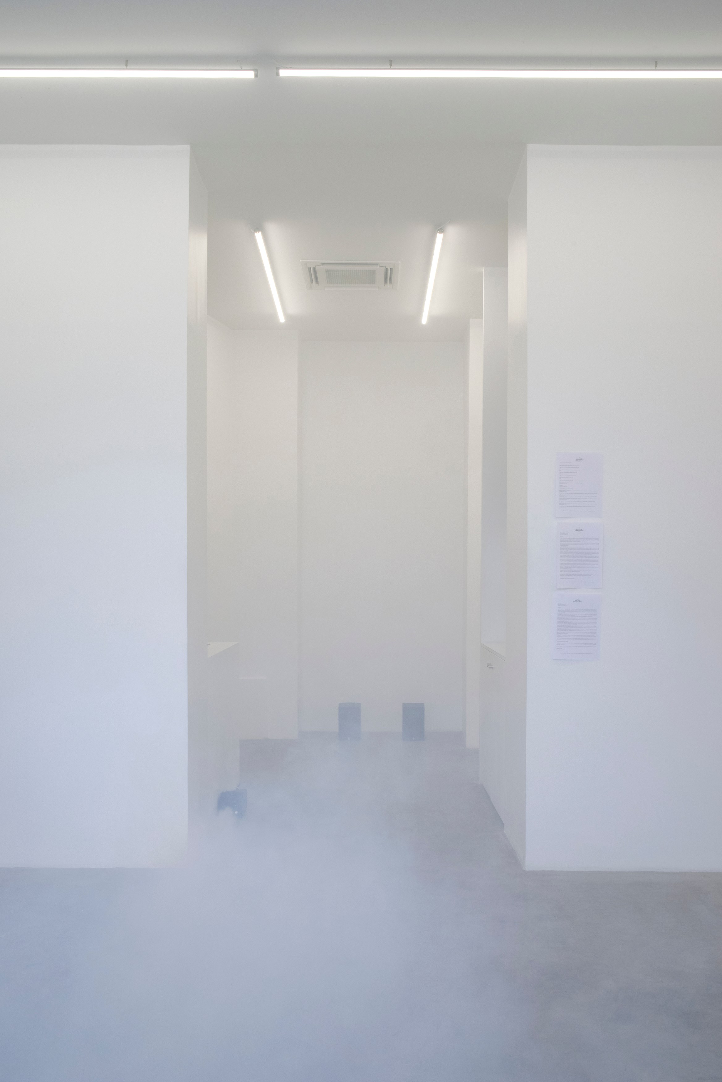 Puppies Puppies (Jade Guanaro Kuriki-Olivo), Anxiety, Depression & Triggers at Galerie Balice Hertling, photo 14