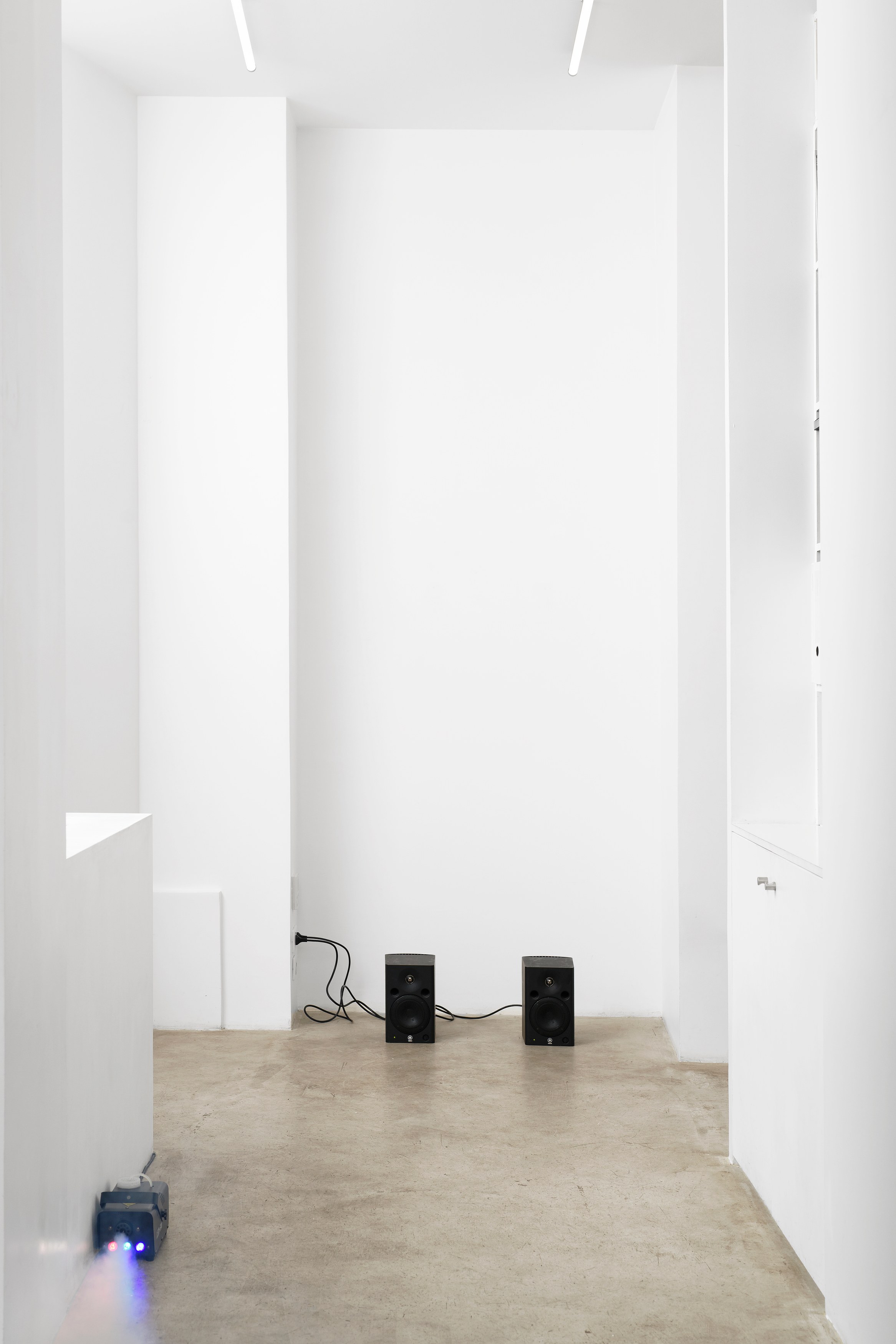 Puppies Puppies (Jade Guanaro Kuriki-Olivo), Anxiety, Depression & Triggers at Galerie Balice Hertling, photo 15