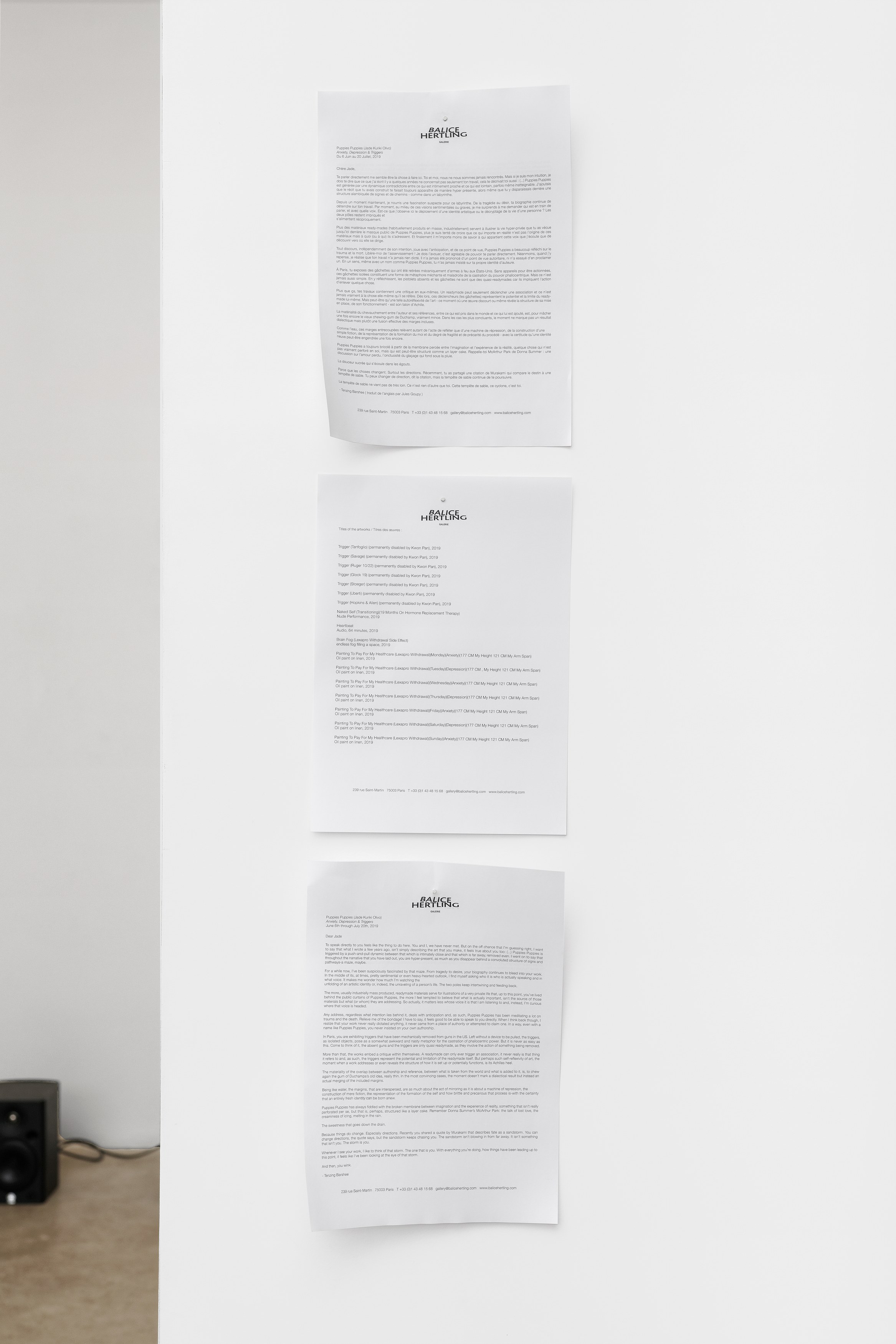 Puppies Puppies (Jade Guanaro Kuriki-Olivo), Anxiety, Depression & Triggers at Galerie Balice Hertling, photo 37
