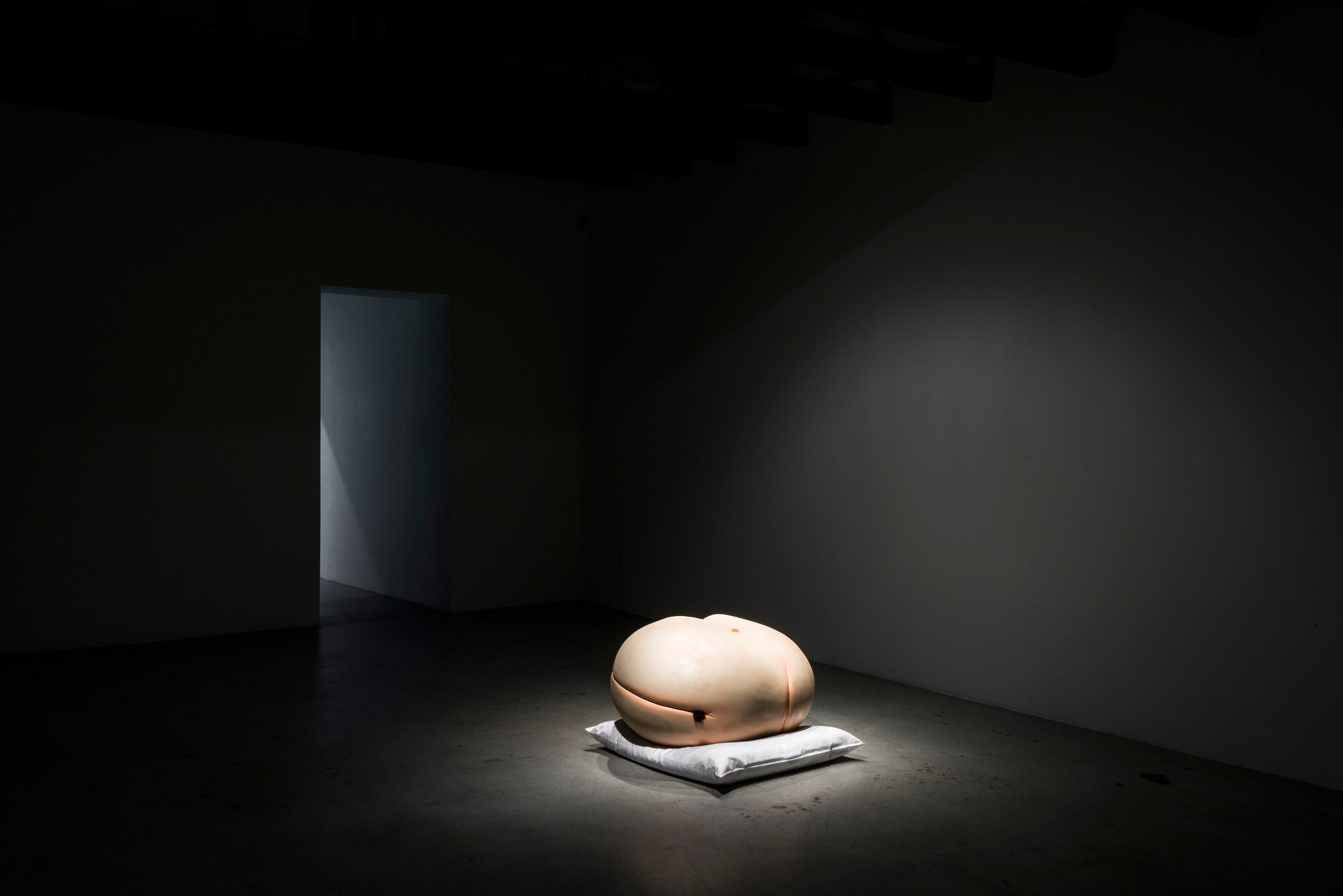Dan Finsel, Untitled at Michael Benevento Gallery, photo 13