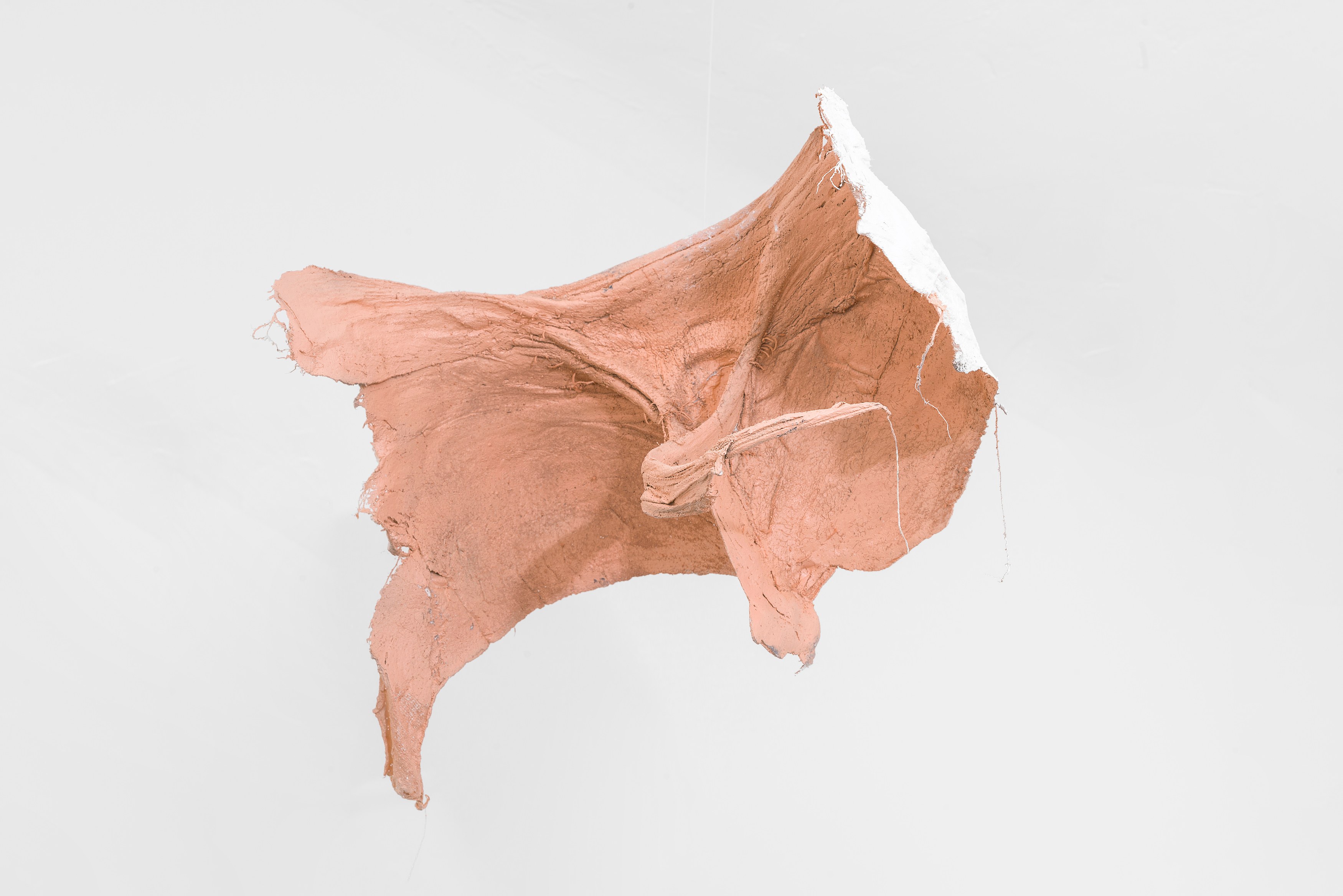 Dan Finsel, Untitled at Michael Benevento Gallery, photo 23