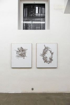 Image 8 of 41