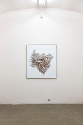 Image 9 of 41