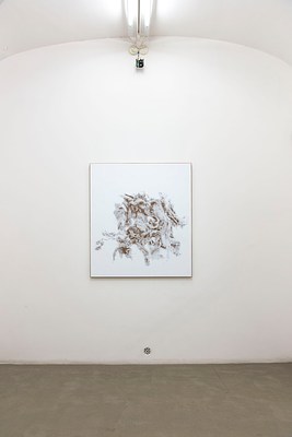 Image 10 of 41