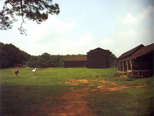 Image 20 of 31