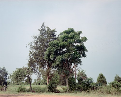 Image 23 of 31