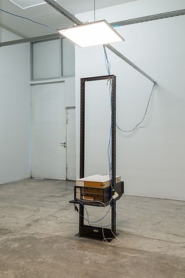 Image 2 of 15