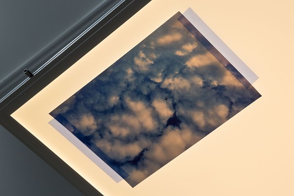 Image 10 of 15