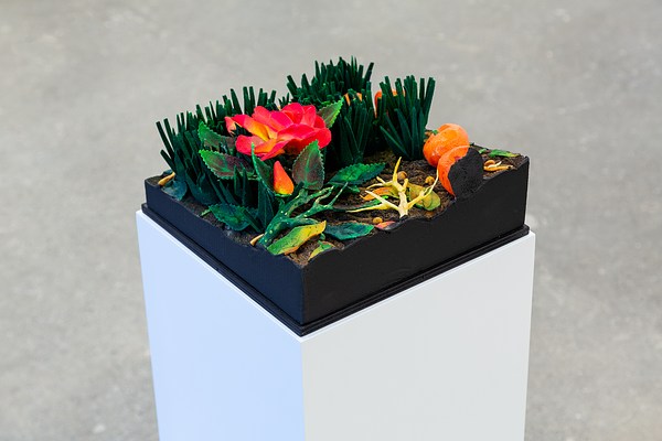 Image 14 of 38