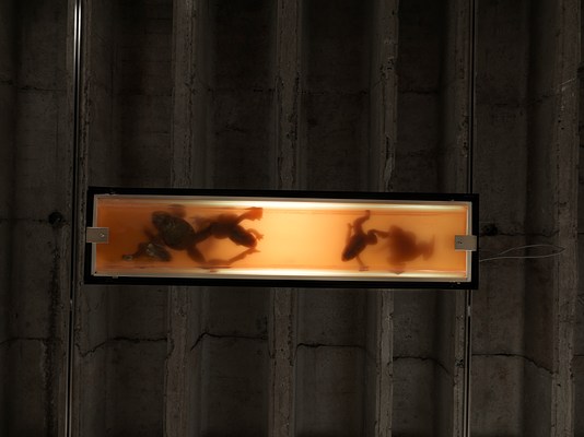 Image 12 of 24