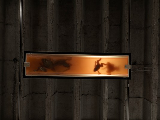 Image 13 of 24