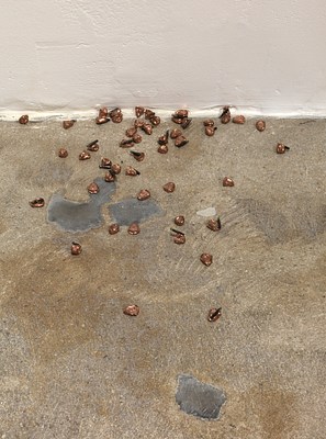 Image 16 of 24