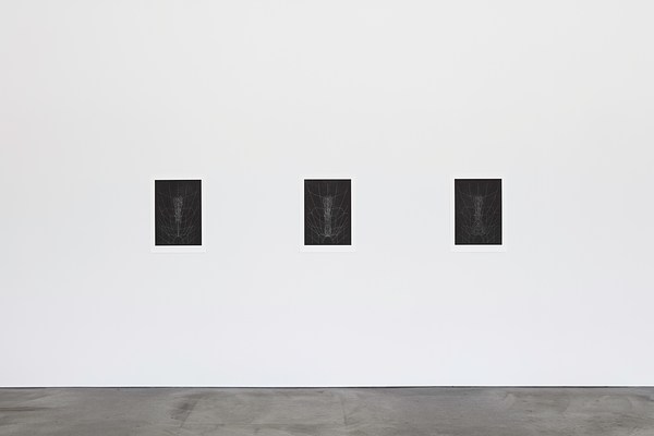 Image 7 of 22