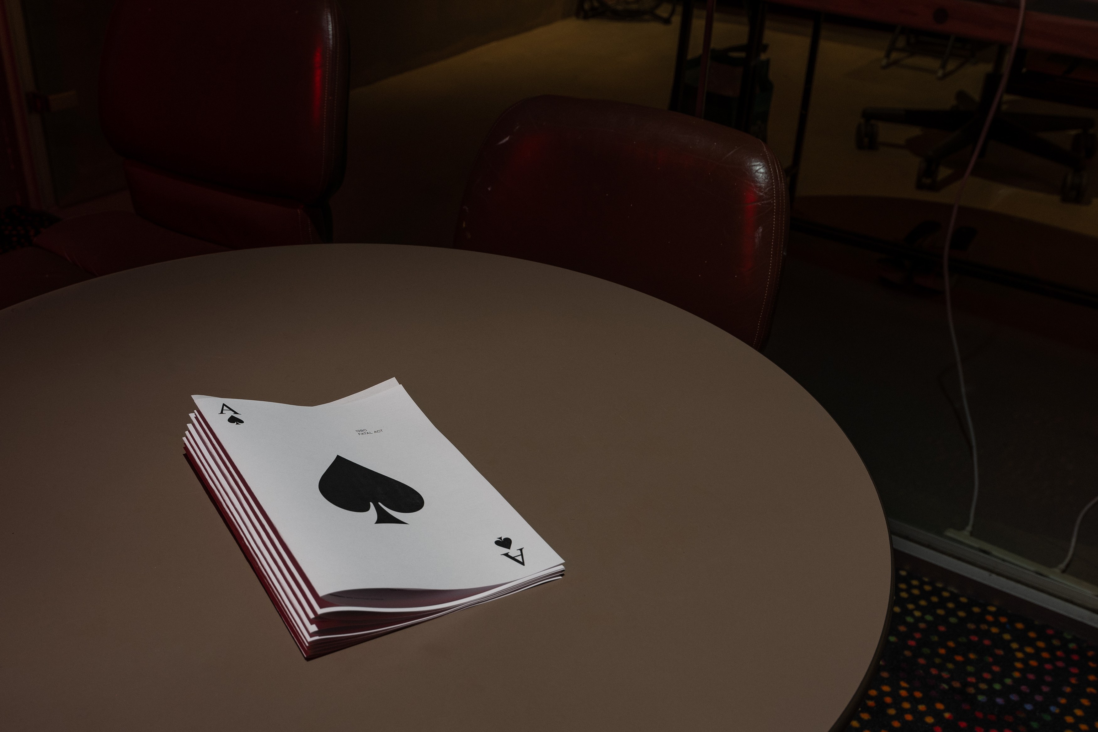 Lucy Raven, Evan Calder Williams, Fatal Act at 80WSE, photo 25