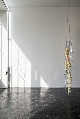Image 6 of 14
