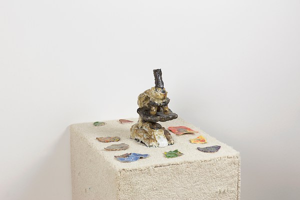 Image 11 of 14