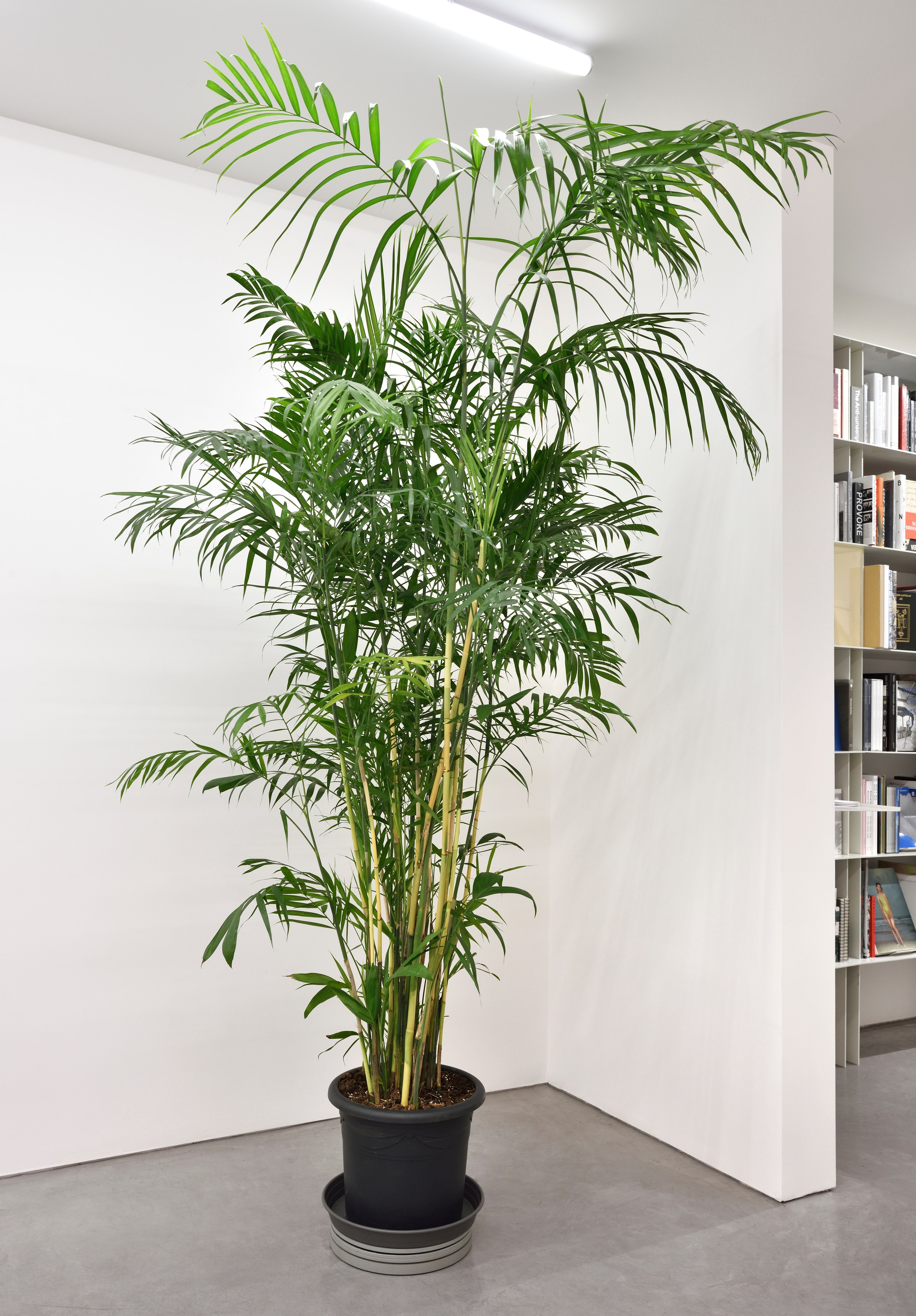 Cerith Wyn Evans, As If, Seeing in the Manner of Listening... at Marian Goodman Gallery, photo 46