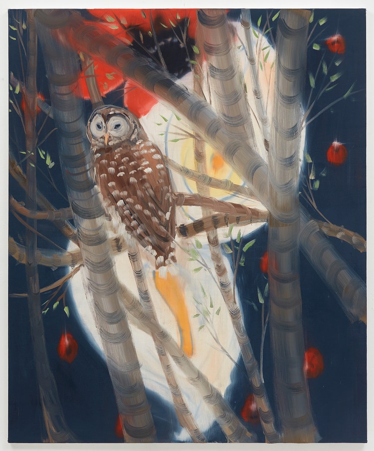 Ann Craven at Center for Maine Contemporary Art, Rockland