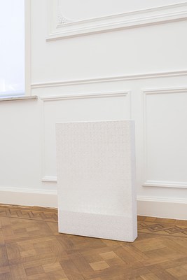 Image 7 of 27