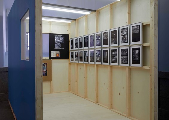 Image 14 of 23