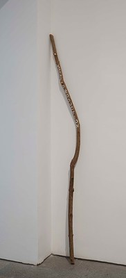 Image 16 of 23