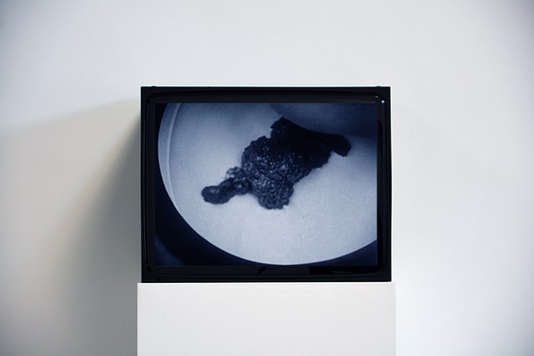Image 21 of 34