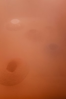 Image 29 of 30