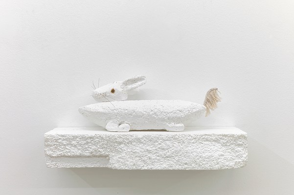 Image 10 of 21