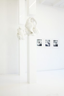 Image 4 of 18