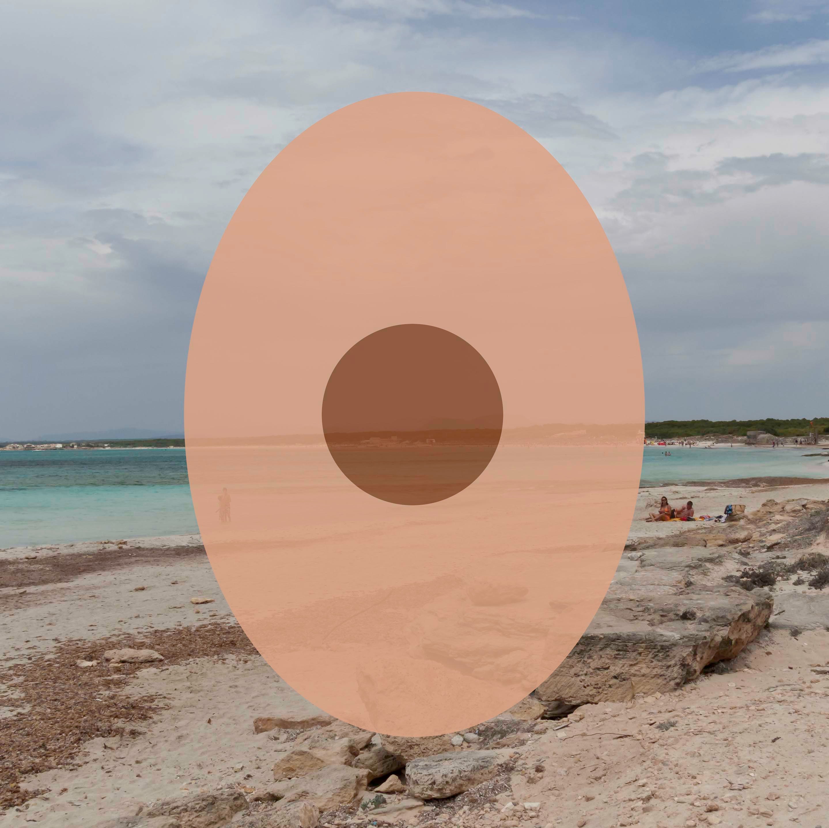 John Miller, The Insanity of Place at Trautwein Herleth, photo 10