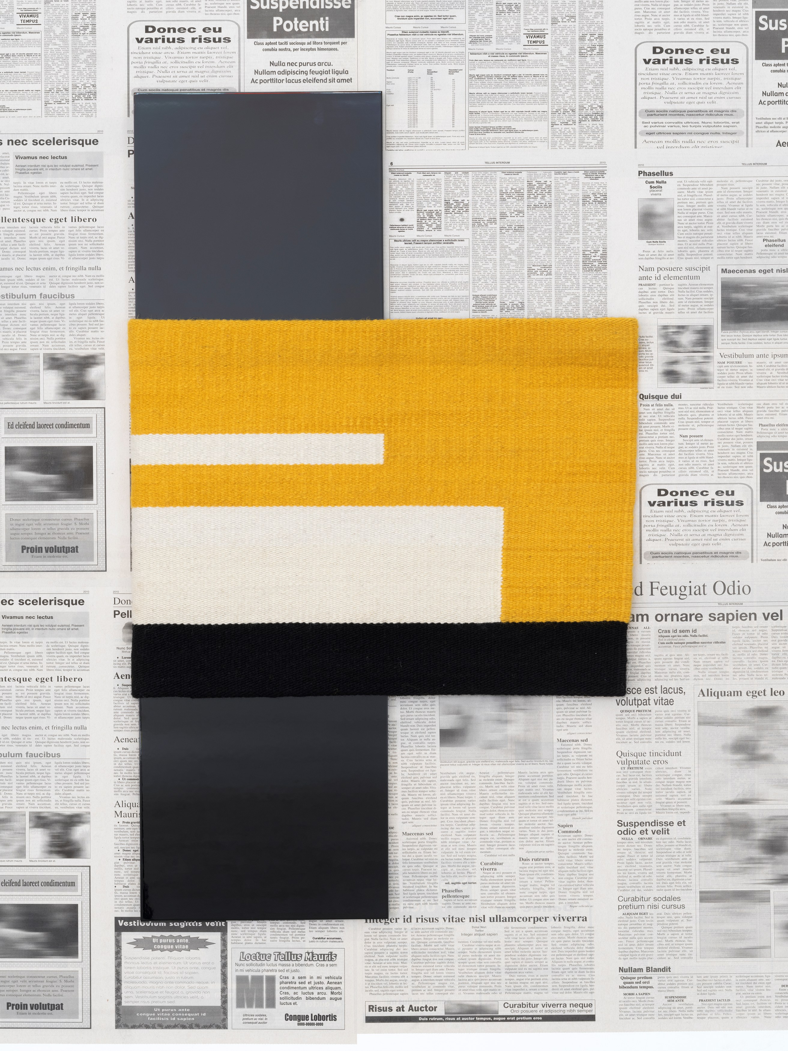 Tom Burr, Andrea Zittel, Concrete Realities at Bortolami, photo 14