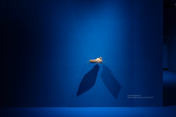 Image 10 of 47