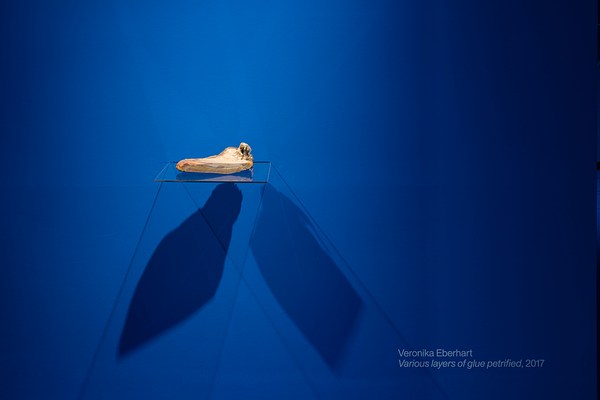 Image 11 of 47