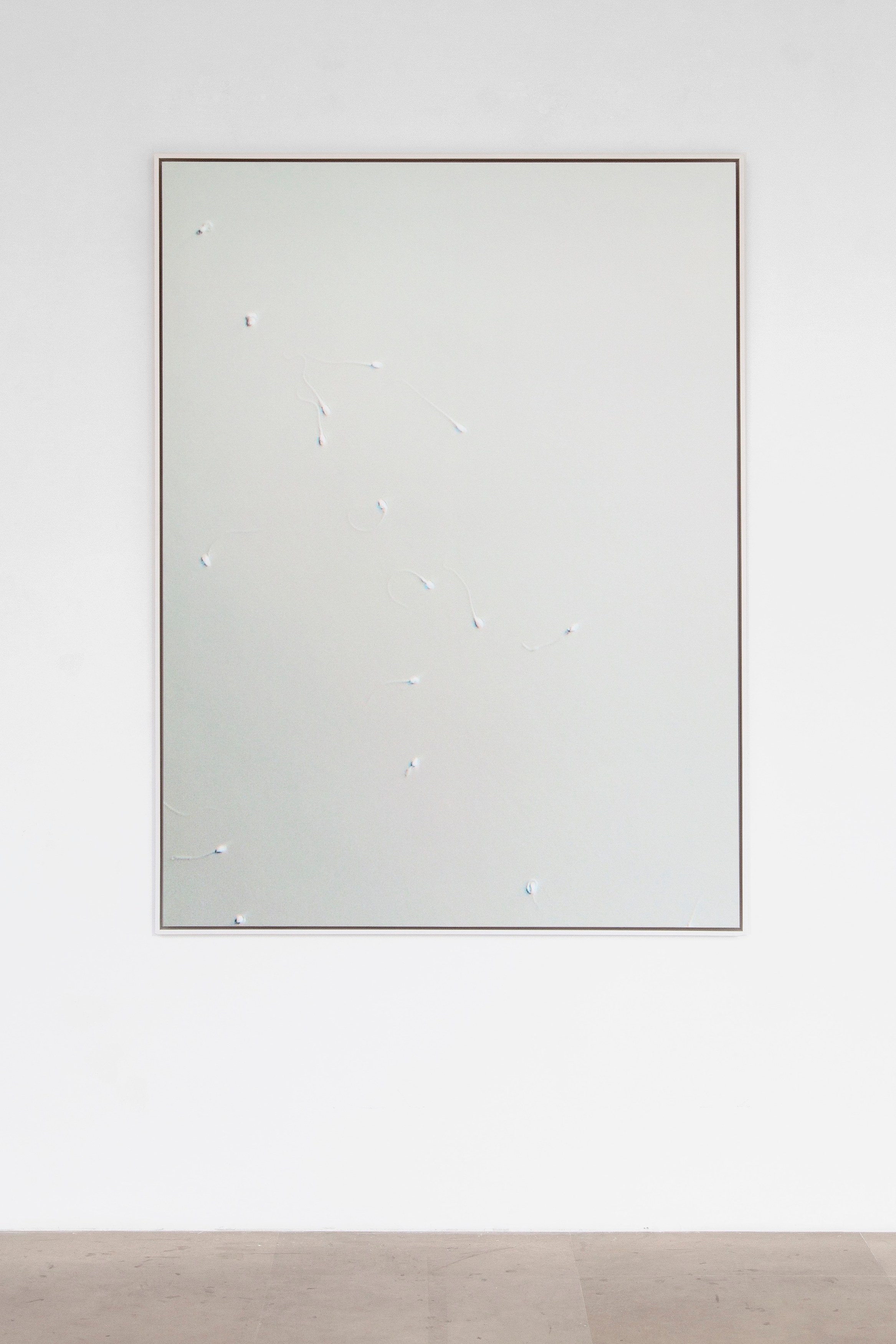 Exo Emo, Exo Emo at Greene Naftali, photo 31