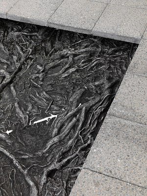 Image 6 of 15