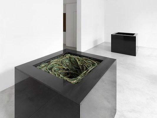 Image 7 of 15
