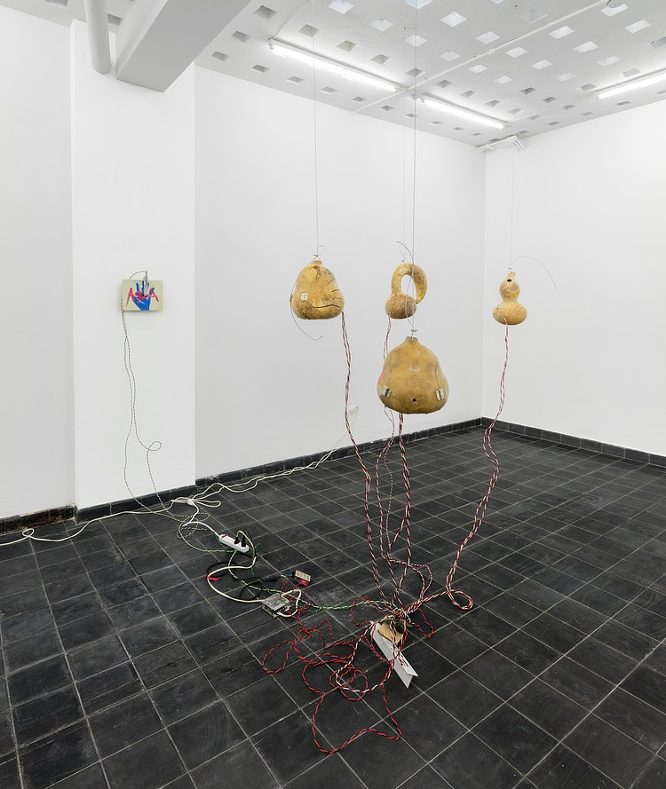 Fernando Palma at House of Gaga, Mexico City Contemporary Art Daily