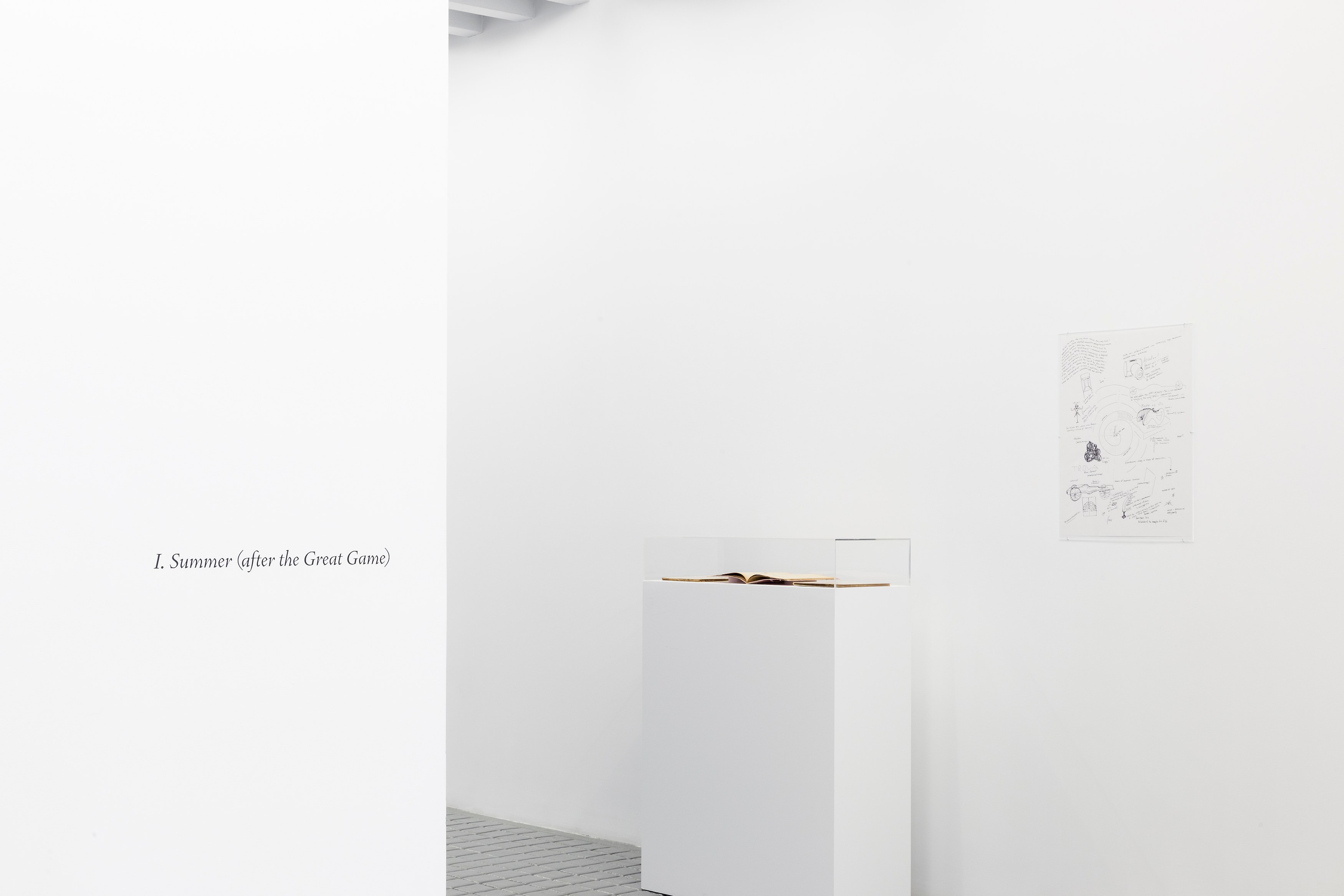 I. Summer (after the Great Game), I. Summer (after the Great Game) at Miguel Abreu, New York (88 Eldridge Street, 36 Orchard Street), photo 4