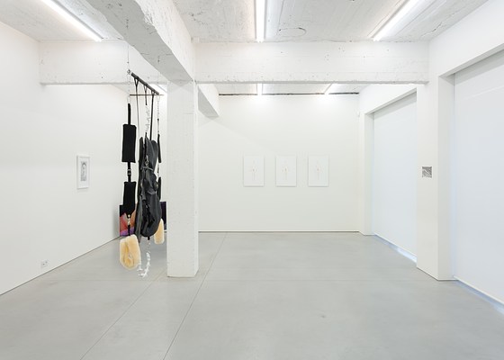 Image 3 of 94