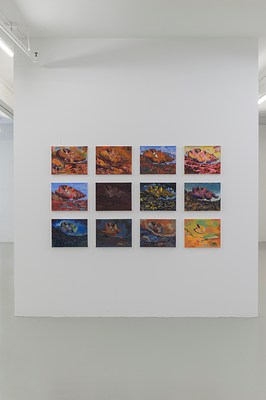 Image 6 of 17