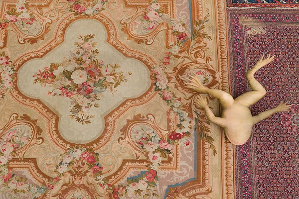 Image 21 of 21