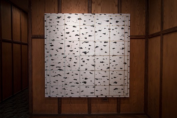 Image 4 of 14