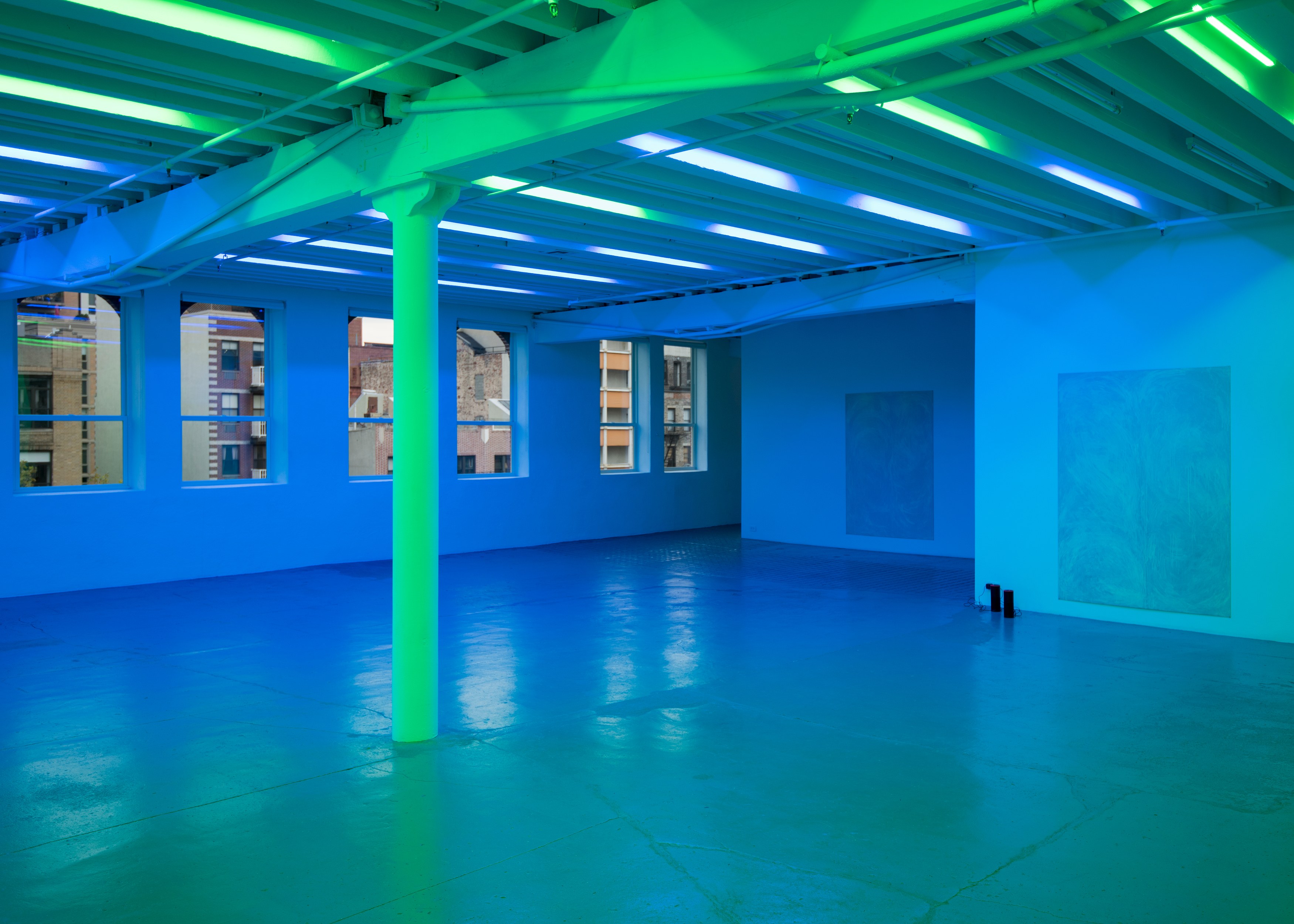 Pamela Rosenkranz, Anemine at Miguel Abreu, New York (88 Eldridge Street, 36 Orchard Street), photo 2
