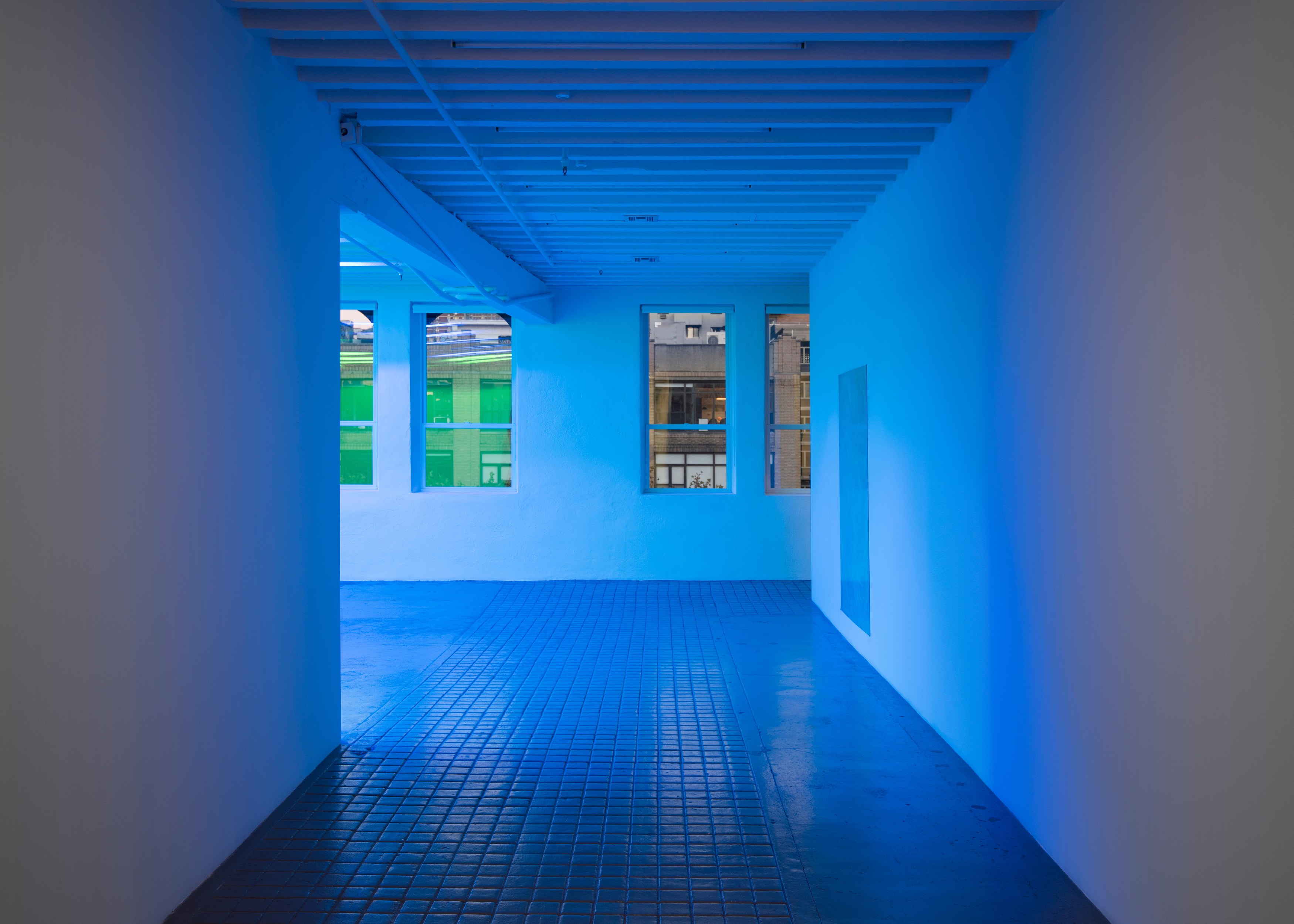Pamela Rosenkranz, Anemine at Miguel Abreu, New York (88 Eldridge Street, 36 Orchard Street), photo 3