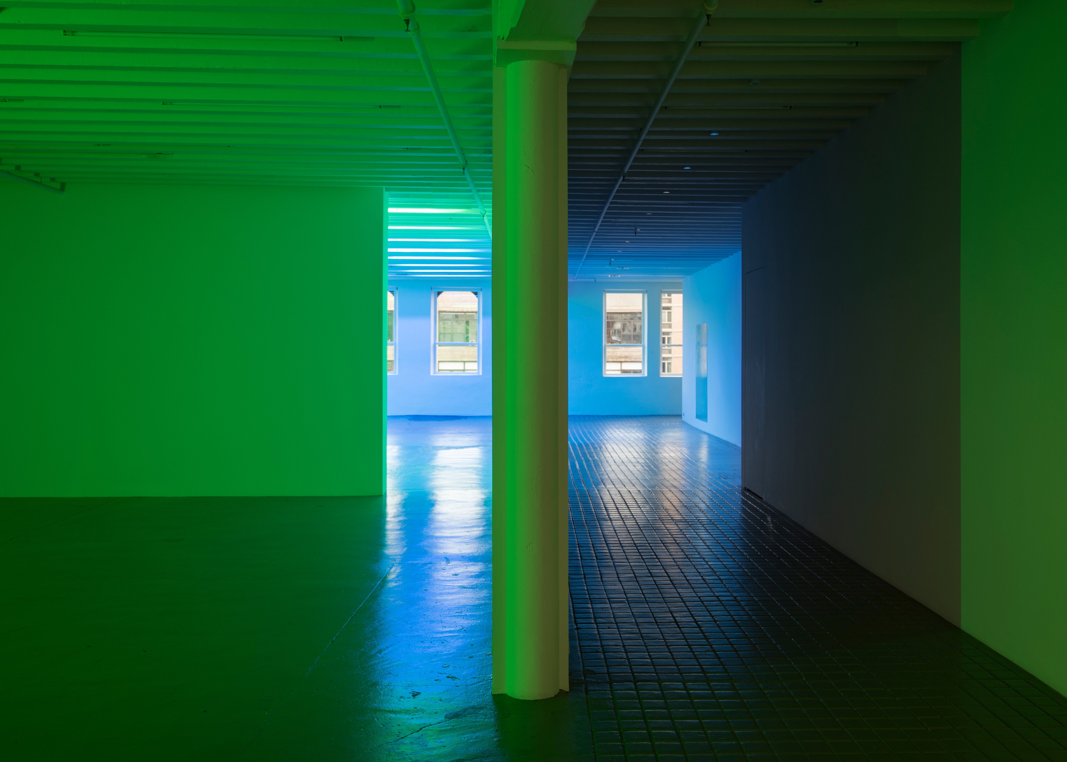 Pamela Rosenkranz, Anemine at Miguel Abreu, New York (88 Eldridge Street, 36 Orchard Street), photo 4