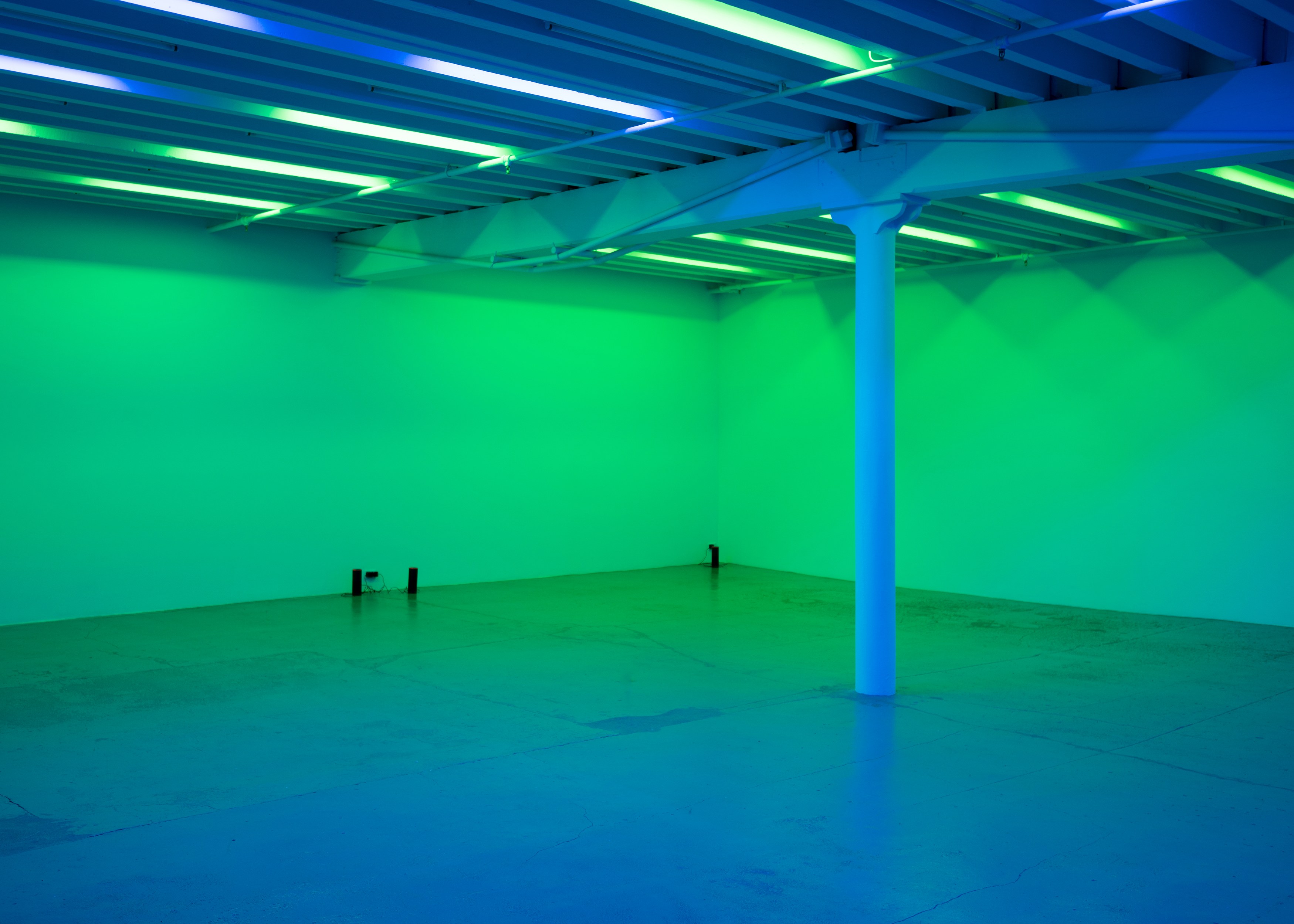 Pamela Rosenkranz, Anemine at Miguel Abreu, New York (88 Eldridge Street, 36 Orchard Street), photo 5