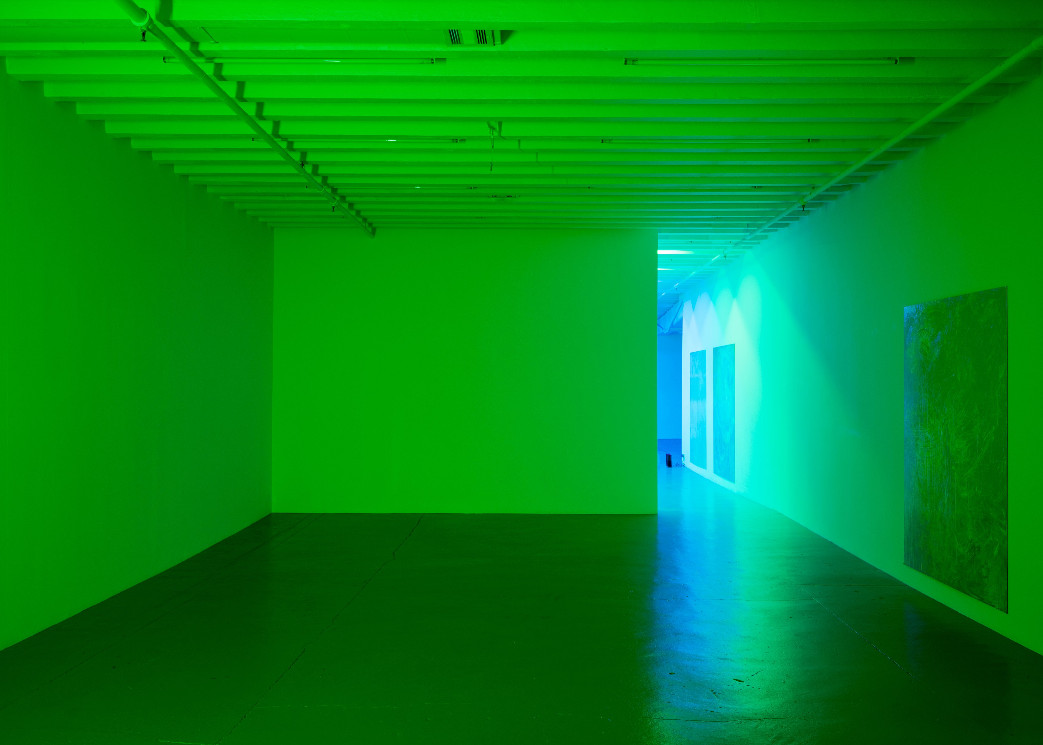 Pamela Rosenkranz, Anemine at Miguel Abreu, New York (88 Eldridge Street, 36 Orchard Street), photo 6