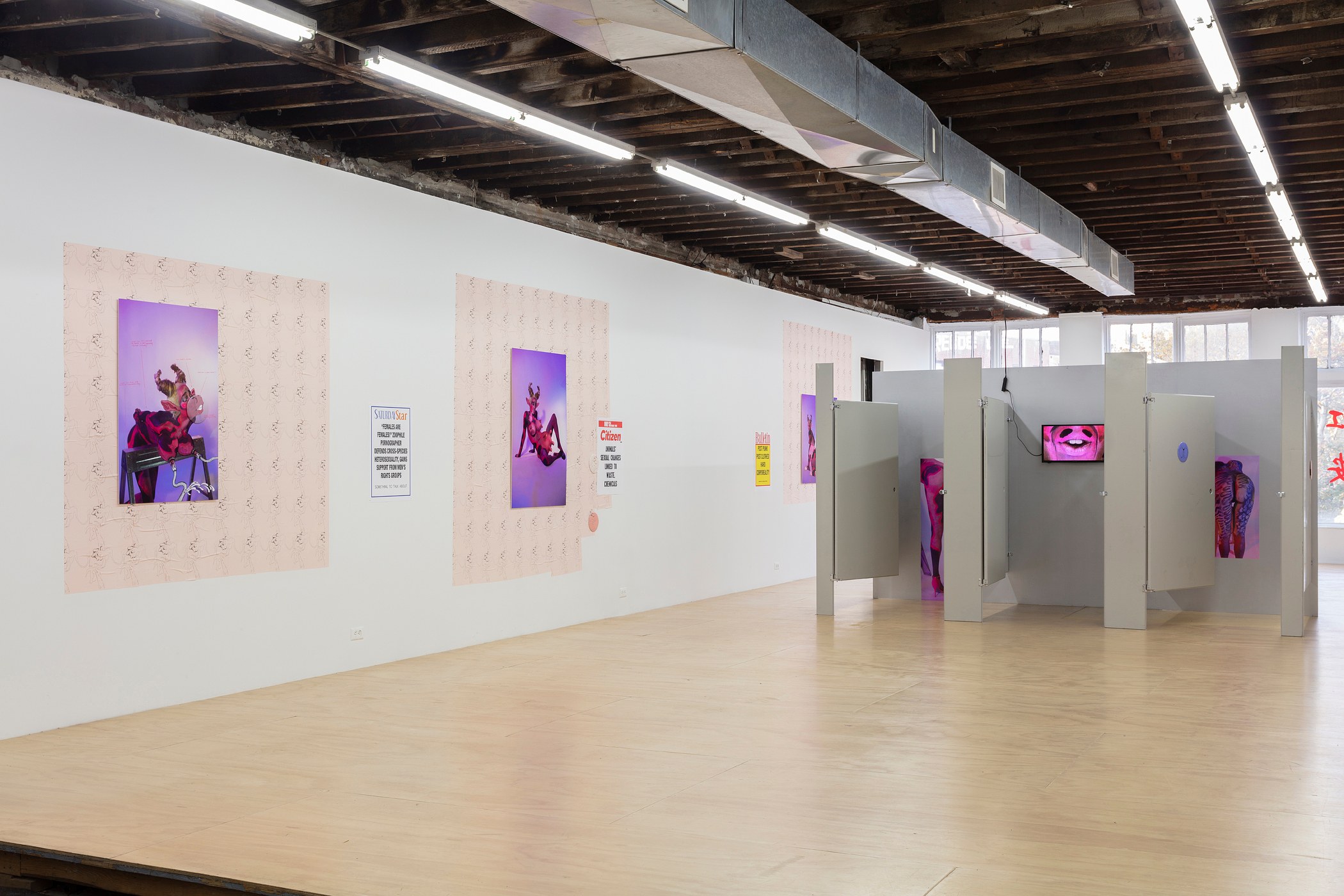 Juliana Huxtable, Interfertility Industrial Complex: Snatch The Calf Back at Reena Spaulings Fine Art, photo 9