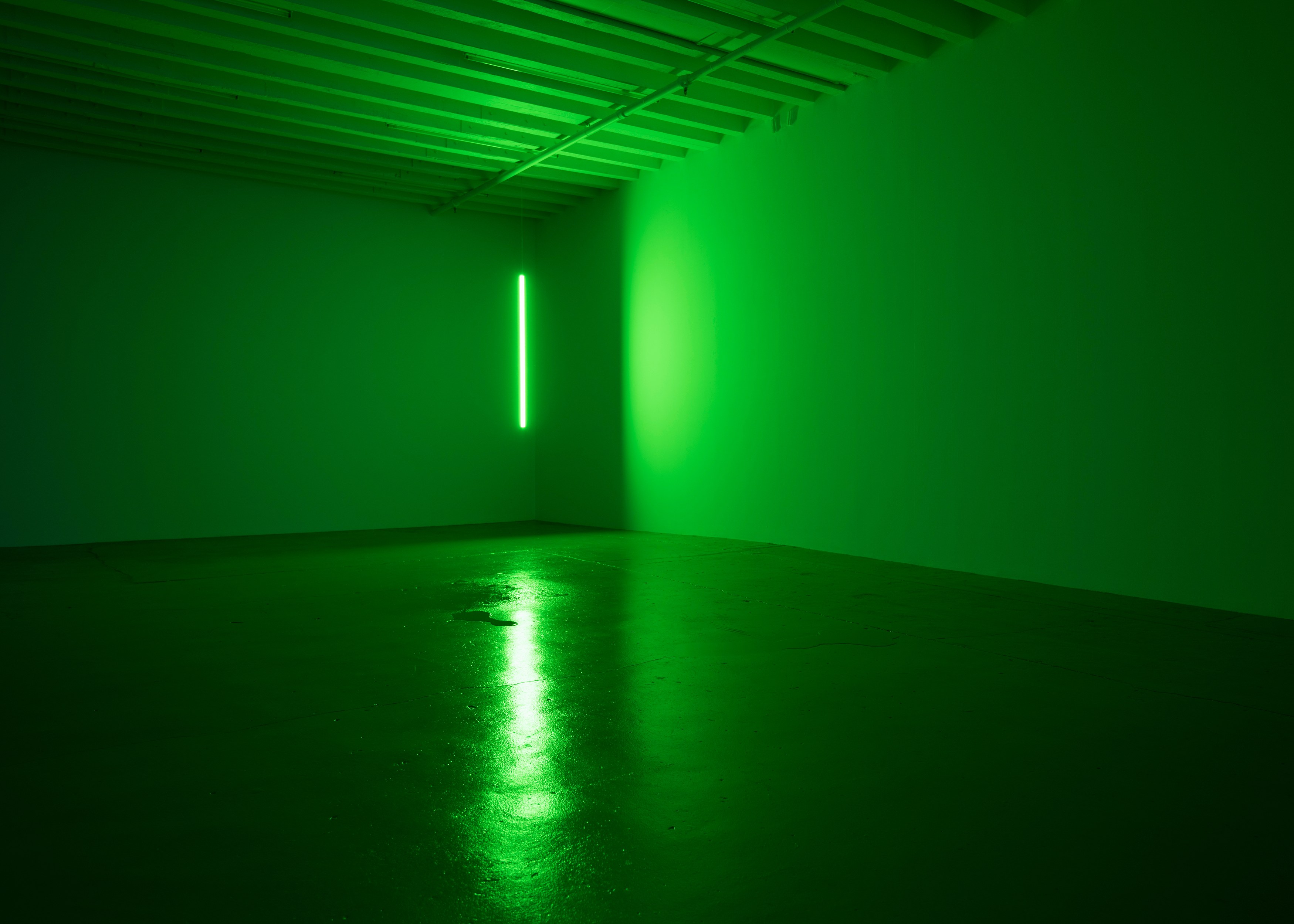 Pamela Rosenkranz, Anemine at Miguel Abreu, New York (88 Eldridge Street, 36 Orchard Street), photo 7