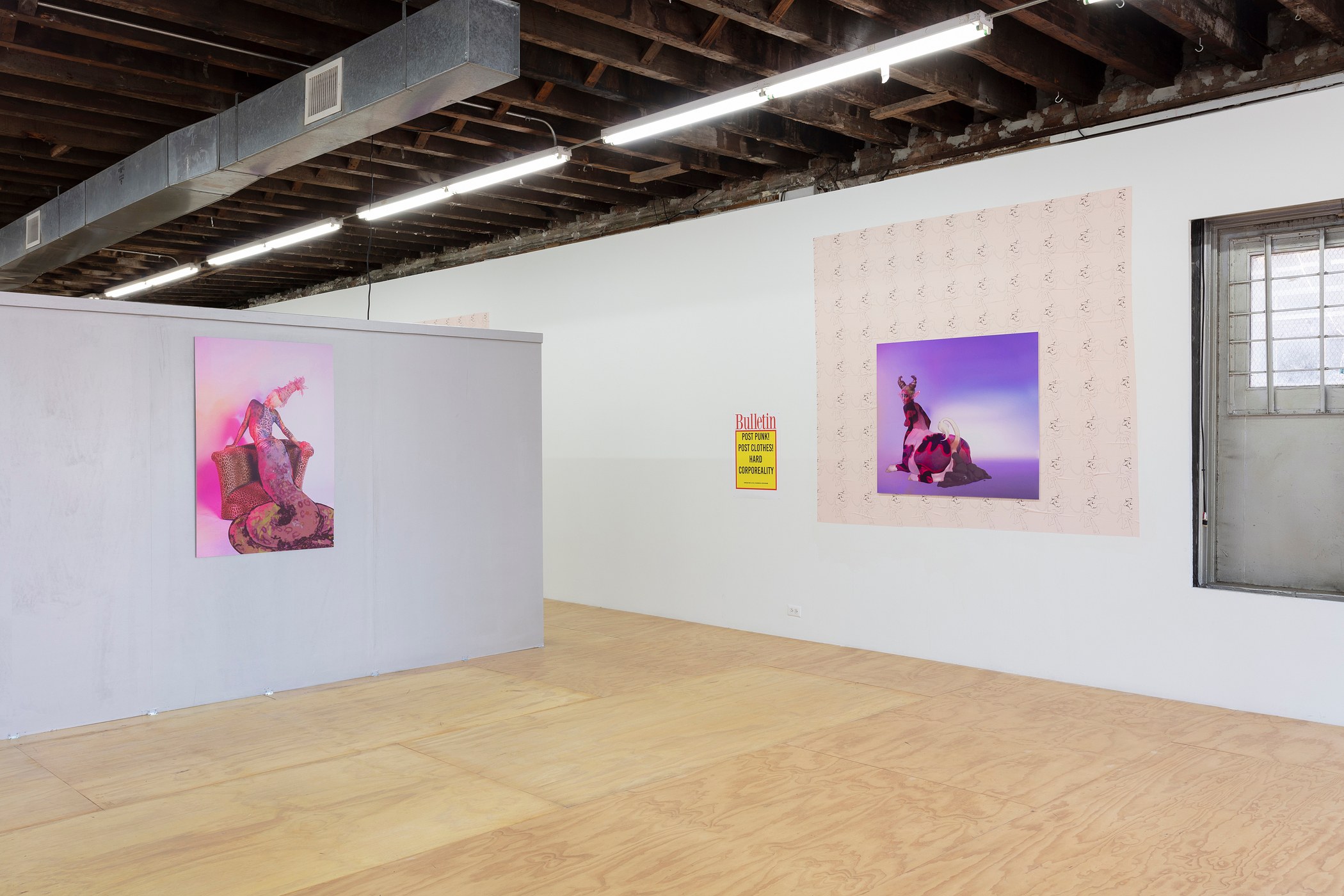 Juliana Huxtable, Interfertility Industrial Complex: Snatch The Calf Back at Reena Spaulings Fine Art, photo 11